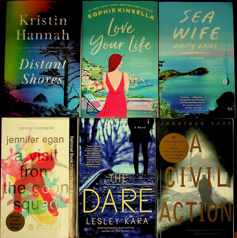 Image for Distant Shores, Love your Life, Sea Wife, A Visit From the Goon Squad, The Dare, A Civil Action.